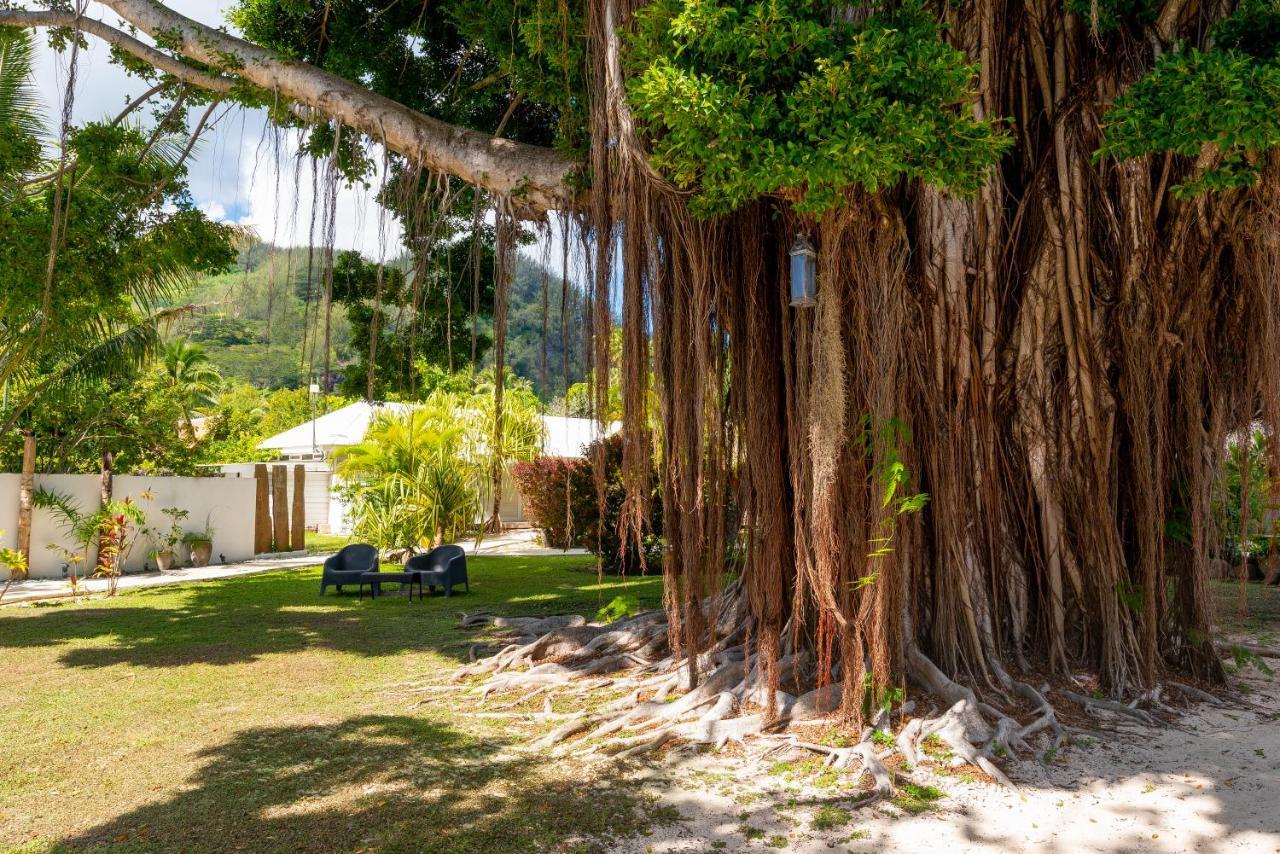 Moorea Beach Lodge Esterno foto