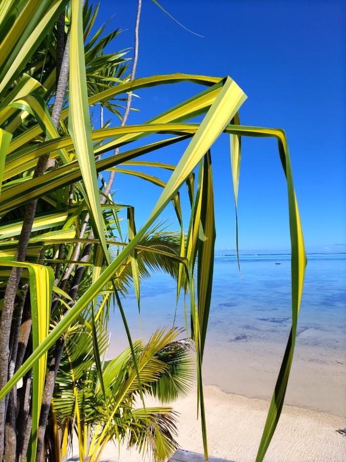 Moorea Beach Lodge Esterno foto